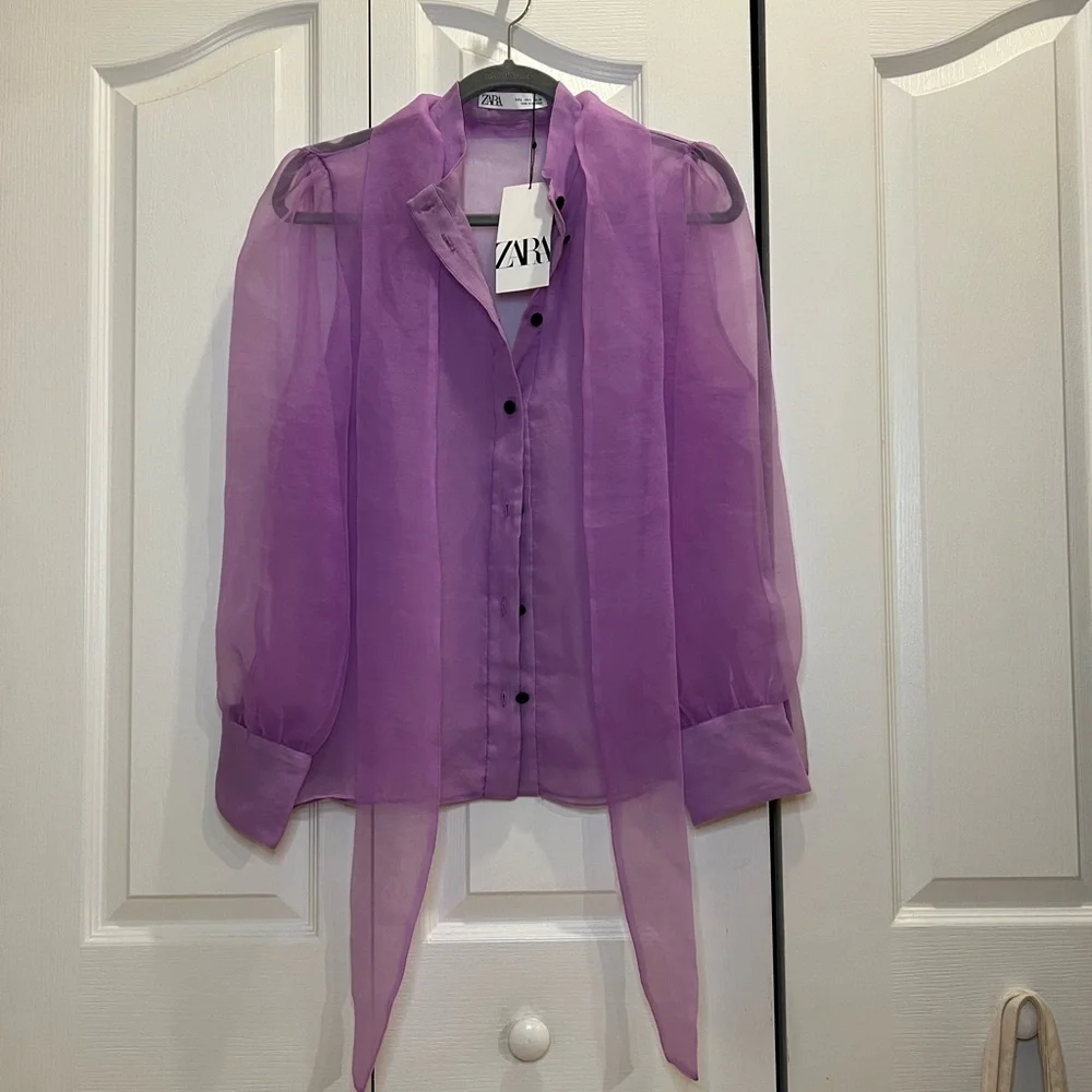 Zara Sheer Blouse with Bow- L - Picture 2 of 6
